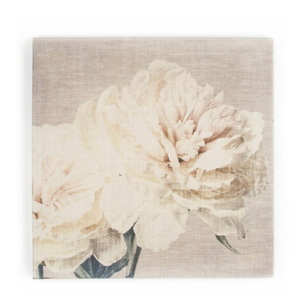 Obraz Graham & Brown Cream Petals, 60 × 60 cm