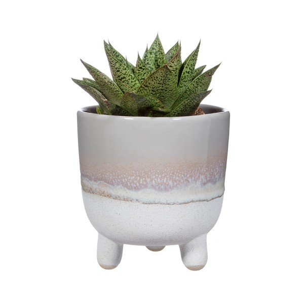 Sivý kvetináč Sass & Belle Bohemian Home Mojave, ø 11,7 cm-image-2