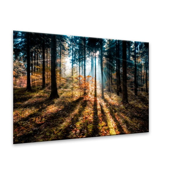 Obraz Styler Glasspik Autumn Sunset, 70 × 100 cm-image-2
