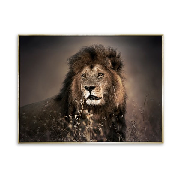 Obraz na plátne Styler Golden Lion, 115 x 87 cm