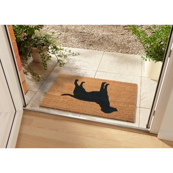 Rohožka 45x75 cm Mix Mats – Hanse Home-image-1