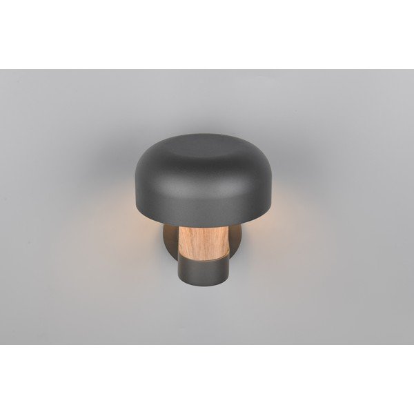 Nástenné vonkajšie svietidlo (výška 24,5 cm) Fraser – Trio-image-2