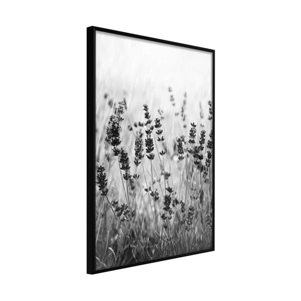 Plagát v ráme Artgeist Shadow of Meadow, 20 x 30 cm