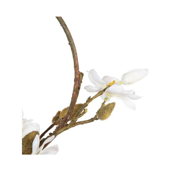 Veniec Magnolia – Ixia-image-1