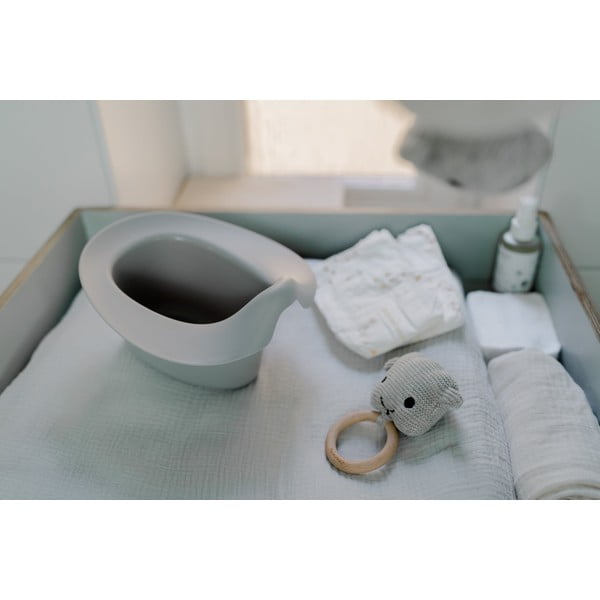 Sivý nočník - Kindsgut-image-4