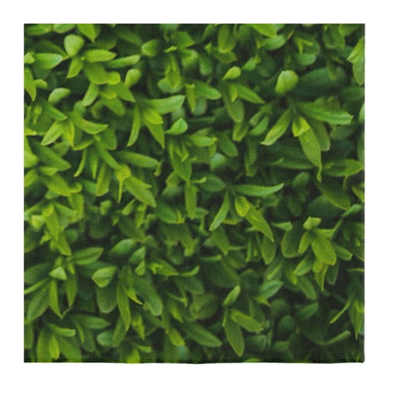 Zelený koberec Oyo home Suzzy Grass, 140 x 220 cm-image-3