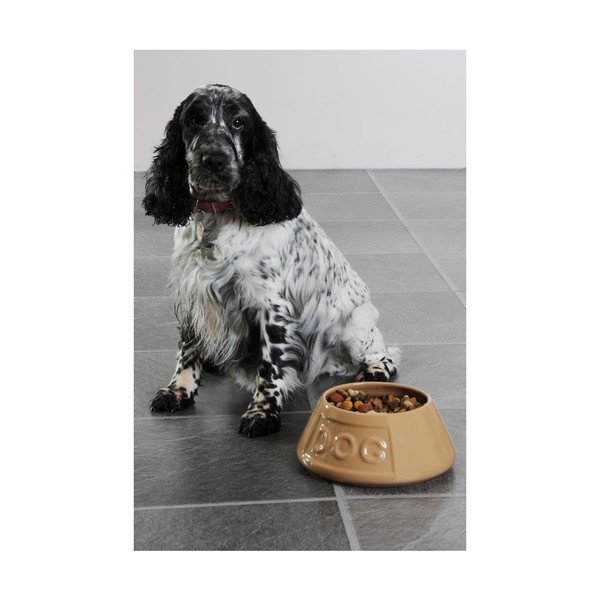 Kameninová miska pre psov Mason Cash Pet Cane Dog, ø 21 cm-image-2