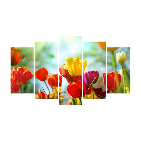 Viacdielny obraz na plátne Flower Color Canvas