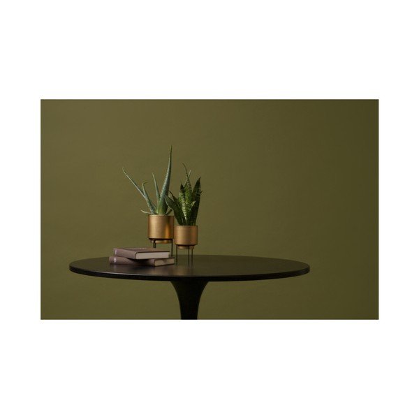 Kvetináč zlatej farby WOOOD Guus, Ø 13 cm-image-3