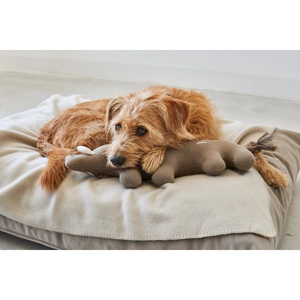 Hračka pre psa Bosco Boar – MiaCara-image-3