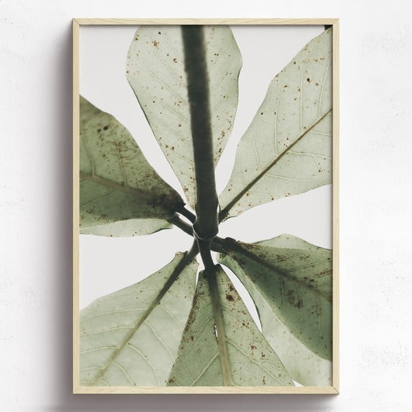 Obraz v drevenom ráme HF Living Tefia, 21 × 30 cm