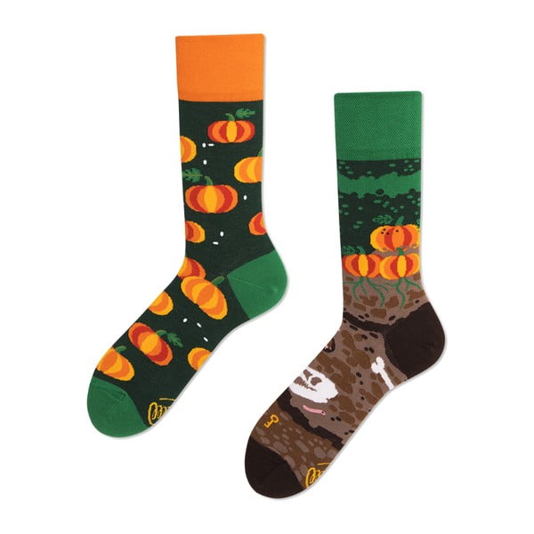 Set ponožiek Many Mornings Pumpkins, veľ. 43–46
