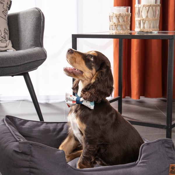 Modrý pelech pre psa 50x55 cm – Love Story-image-4