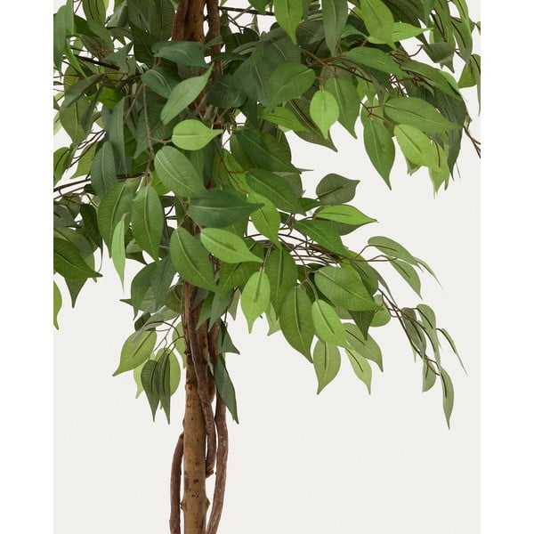 Umelý fikus (výška 180 cm) Ficus – Kave Home-image-1