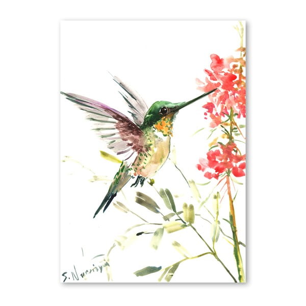 Autorský plagát Hummingbird od Surena Nersisyana, 60 x 42 cm