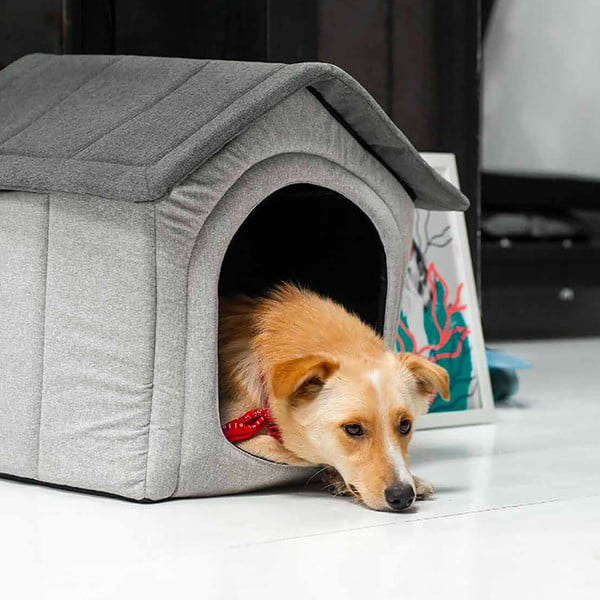 Svetlosivá búdka pre psa 52x53 cm Home XL – Rexproduct-image-4