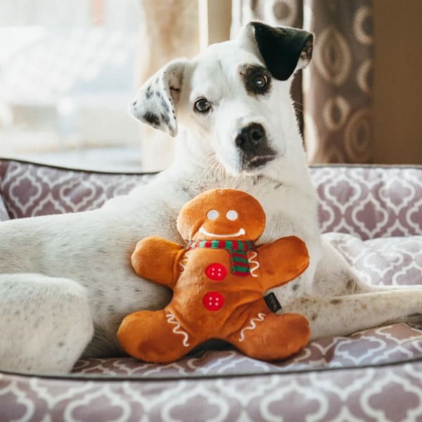 Hračka pre psa Gingerbread Man – P.L.A.Y.-image-1