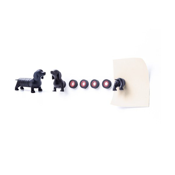 Sada magnetov QUALY Magnetic Dog, jazvečík