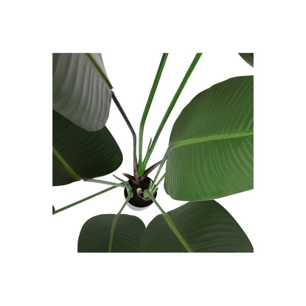 Umelá strelícia (výška  164 cm) – WOOOD-image-3