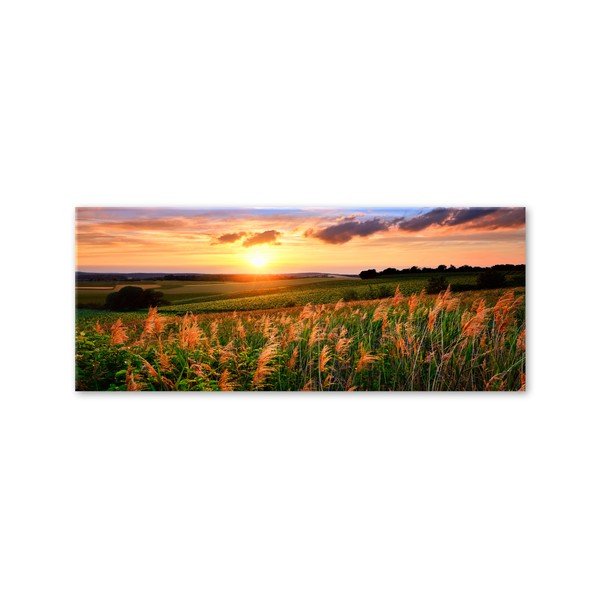 Obraz Styler Glas Sunset Meadow, 50 × 125 cm