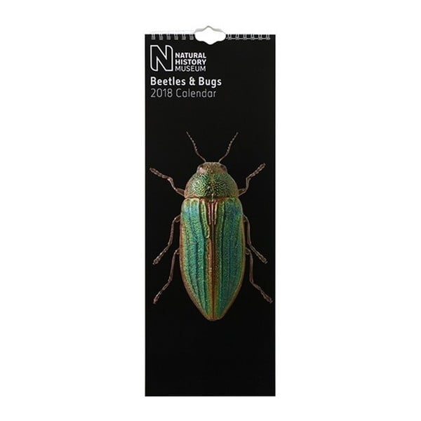 Úzky nástenný kalendár na rok 2018 Portico Designs Natural History Museum Beetles & Bugs

