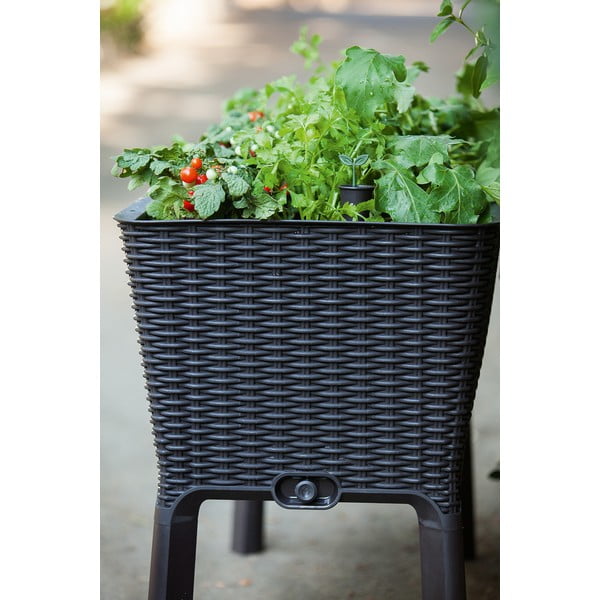 Kvetináč Easy Grow – Keter-image-2