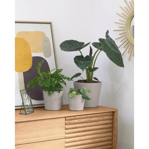 Betónové kvetináče v súprave 3 ks ø 23,5 cm Low – Kave Home-image-1