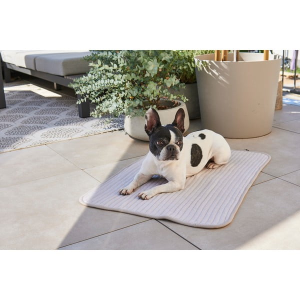 Sivá bavlnená deka pre psa 90x120 cm Onda Pebble L – MiaCara-image-1