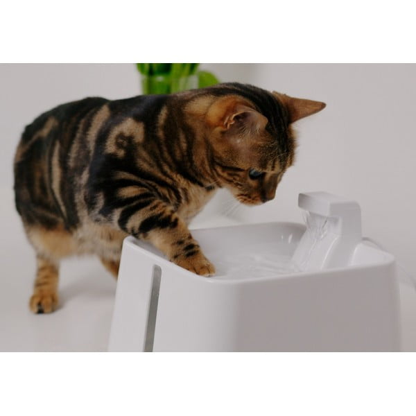 Fontána pre domáceho maznáčika Epic Pet Zen – Plaček Pet Products-image-1