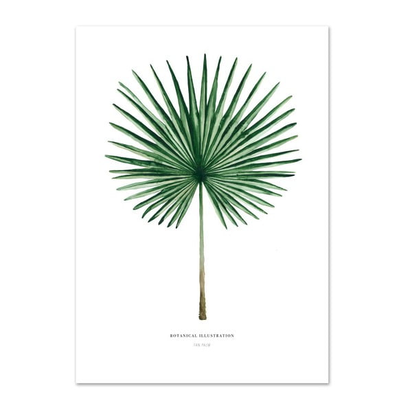 Plagát Leo La Douce Fan Palm, 29,7 x 42 cm