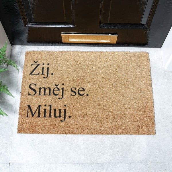 Rohožka z kokosového vlákna 40x60 cm Žij a Miluj – Artsy Doormats-image-2
