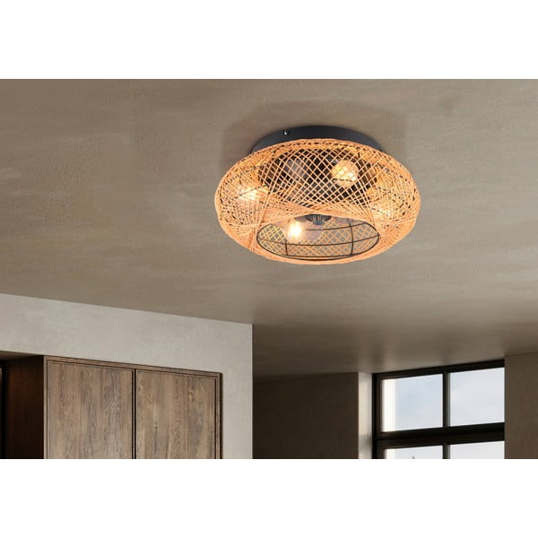 Hnedé stropné svietidlo na diaľkové ovládanie/s ventilátorom Lillesand – Trio-image-1