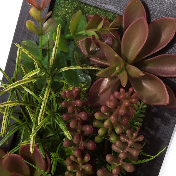 Sada 2 závesných dekorácií v tvare rastúceho kaktusu Unimasa-image-1