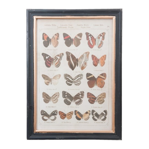 Obraz Clayre & Eef Butterflies, 40 × 55 cm