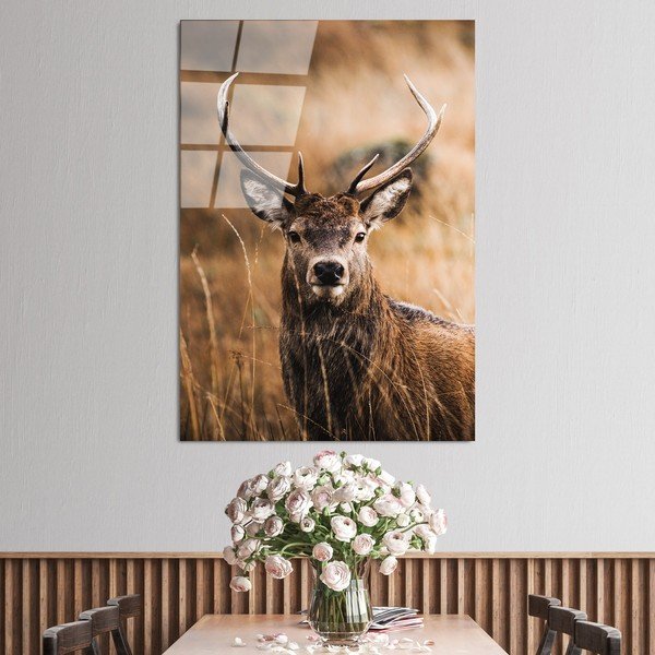Sklenený obraz 70x100 cm Deer - Wallity-image-1