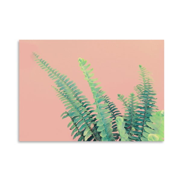Plagát Americanflat Ferns On Pink, 30 × 42 cm