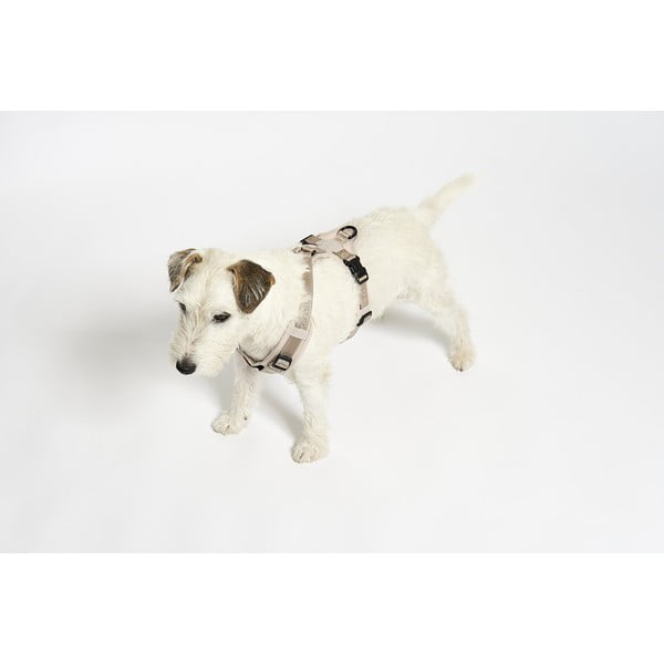 Béžový postroj veľkosť L dĺžka 42 cm Modena Greige L – MiaCara-image-2