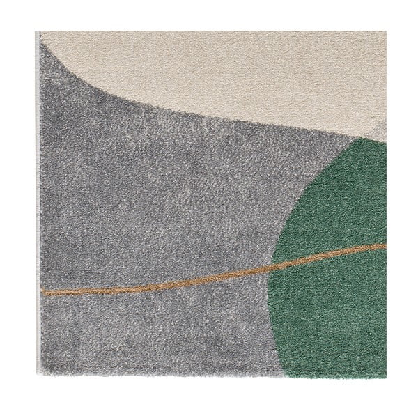 Zelený koberec 120x170 cm Edesa – Universal-image-2