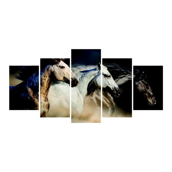 Viacdielny obraz La Maison Des Couleurs Wild Horses