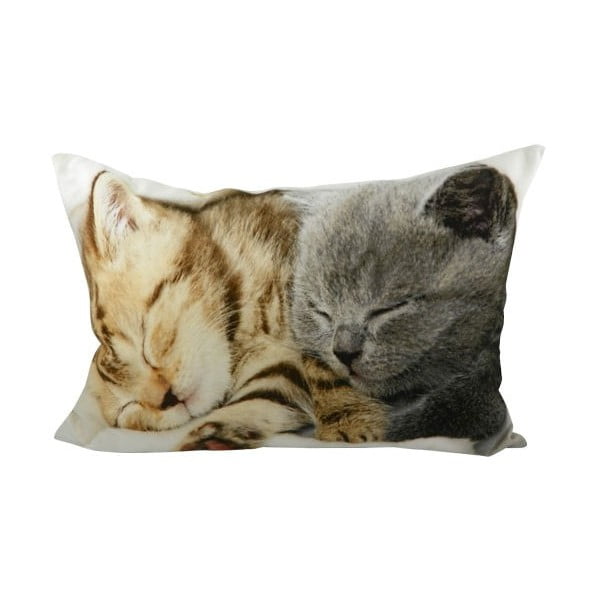 Vankúš Kittens On Blanket 50x35 cm