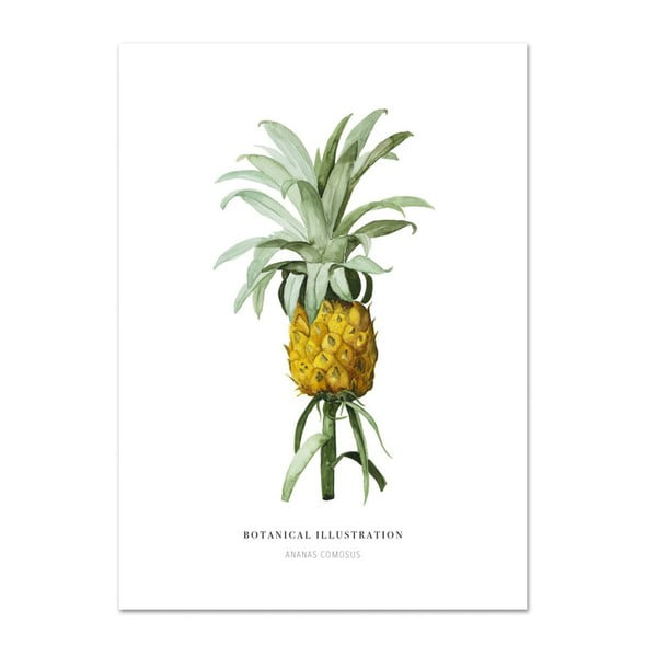 Plagát Leo La Douce Ananas Comosus, 21 x 29,7 cm