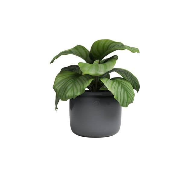 Keramický ručne vyrobený kvetináč ø 20 cm Astrea – Artevasi-image-3