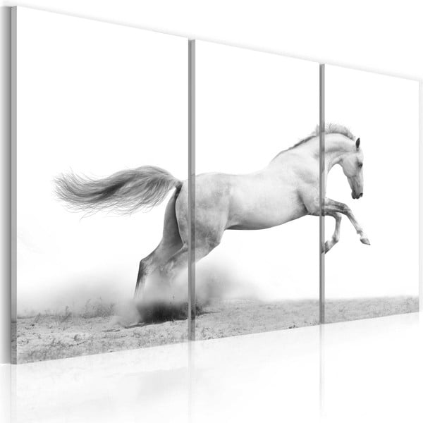 Viacdielny obraz na plátne Bimago Horse, 80 x 120 cm