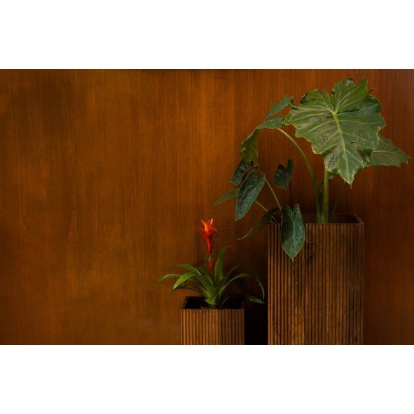 Drevené stojany na kvety 2 ks (výška  80 cm) Ribble – Dutchbone-image-3