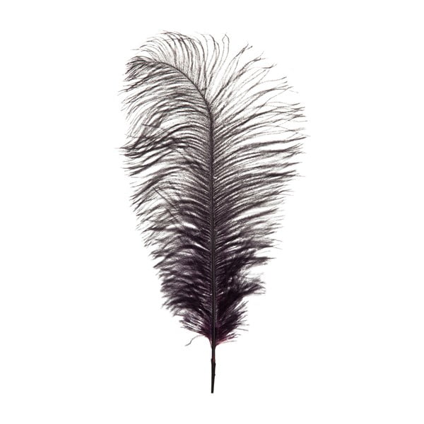 Dekoratívne pštrosie perie  Aubergine, výška 35 cm