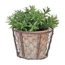 Drôtený kôš s terakotovým kvetináčom Esschert Design