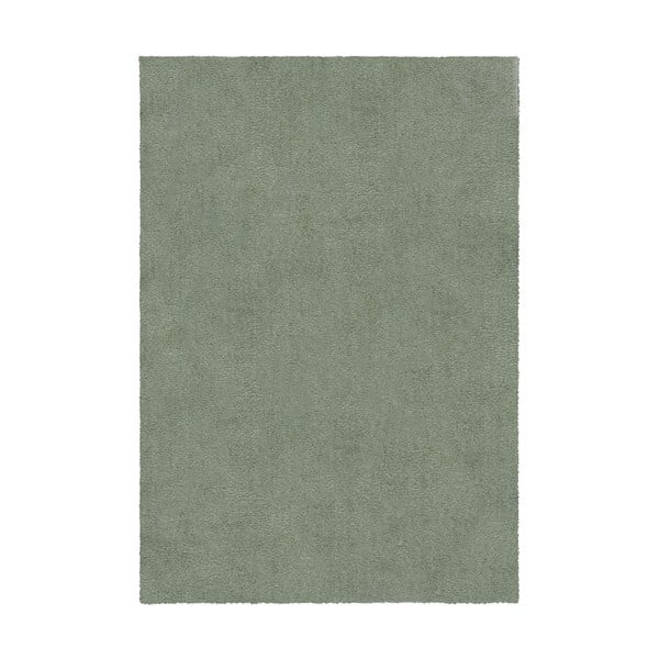 Zelený umývateľný koberec z recyklovaných vlákien 120x170 cm Fluffy – Flair Rugs