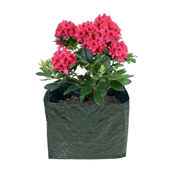 Vyvýšený záhon – Garden Pleasure