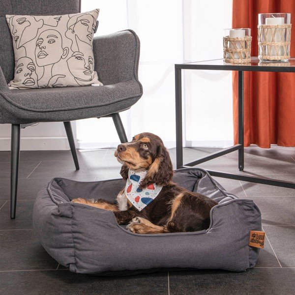 Modrý pelech pre psa 50x55 cm – Love Story-image-1