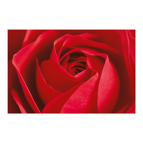 Maxi plagát La Rose, 175x115 cm